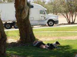 Trucker at rest stop with dog