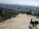 Dogs at Runyon Canyon Park