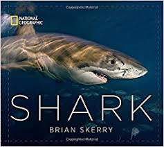Shark Book Cover