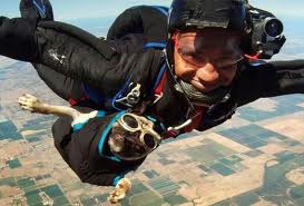 Will and his skydiving dog, Otis.644