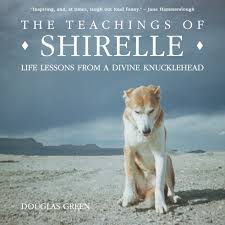 Teachings Of Shirelle Book Cover