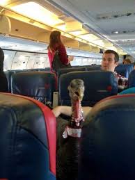 Turkey on Airplane