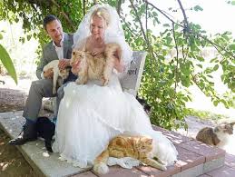 Wedding at Cat House on the Kings