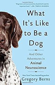 What It's Like To Be A Dog book cover