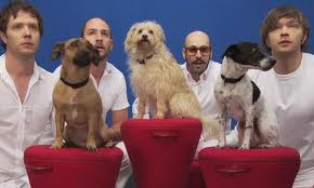 Band OK Go with dogs