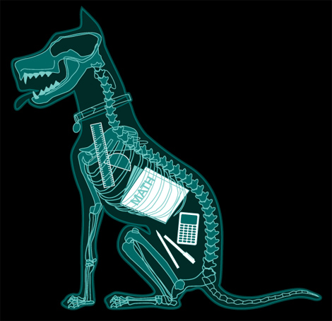 Xray-Dog.jpg