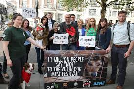 Yulin Protest