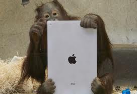iPads for Apes