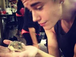 Justin Bieber's Hamster