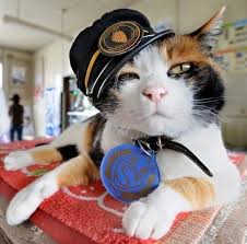 Cats with Jobs