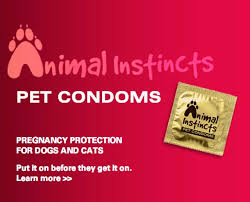 Cat and Dog Condoms