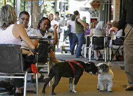 Dining with Dogs