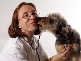 Dog and Vet