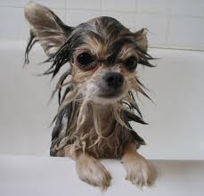 Bath Time