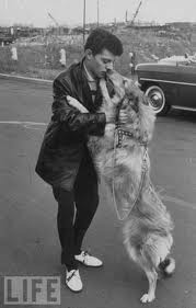 FrankieAvalon Guests on Animal Radio�