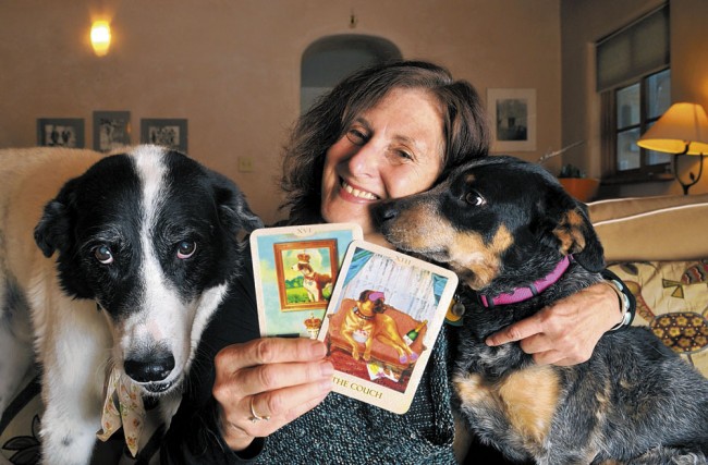 Dog Tarot Cards