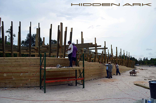 Building Noahs Ark