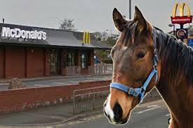 Horse inside McDonalds