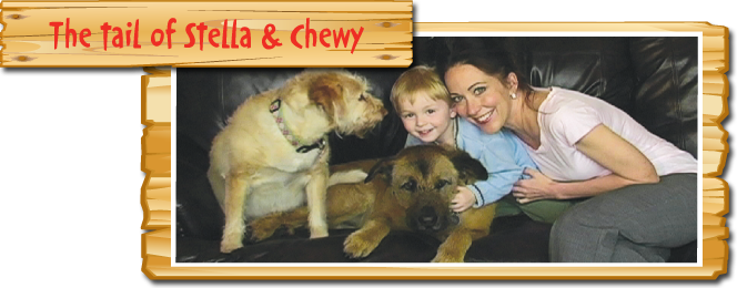 The Tail of Stella & Chewy