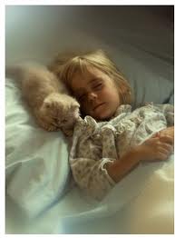 Sleeping with cat