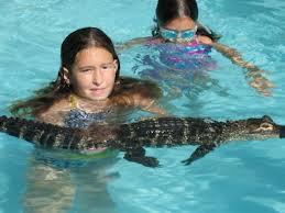 Kids and Alligators