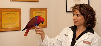 Dr. Lauire Hess is on Animal Radio