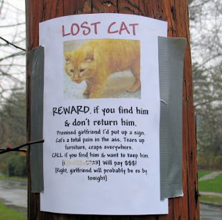 Lost Pet?