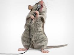 Mice can sing