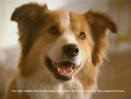 A Commercial Only Dogs Can Hear