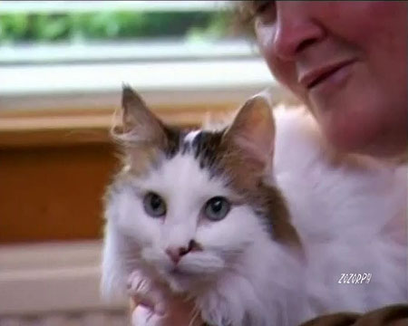 Susan Boyle and Cat