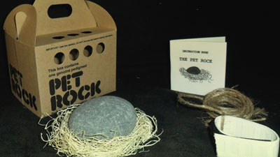 How about a pet rock for Christmas