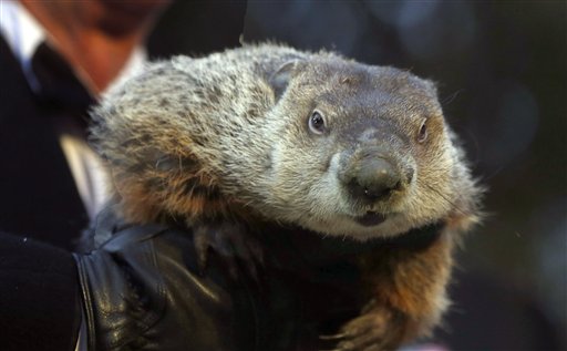 Punxsutawney Phil in legal trouble