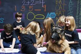 K9s in school