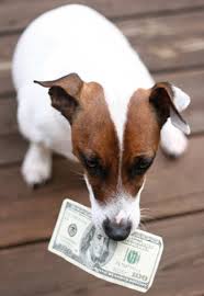 A NEW pet tax deduction