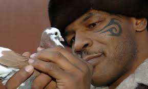 Tyson loves Pigeons