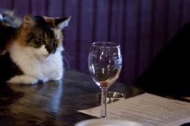 Wine for cats