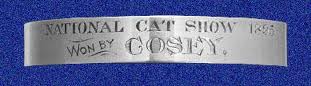 Sterling Silver Cosey cat collar