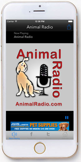 Download the free Animal Radio App - Its been updated