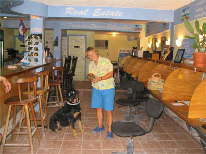 Coco is the dog who hangs out at an internet café and bar operated by his owner, Steve DeMaid