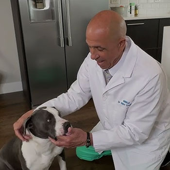 Dr. Henry Crossetti Dr. Henry Crossetti