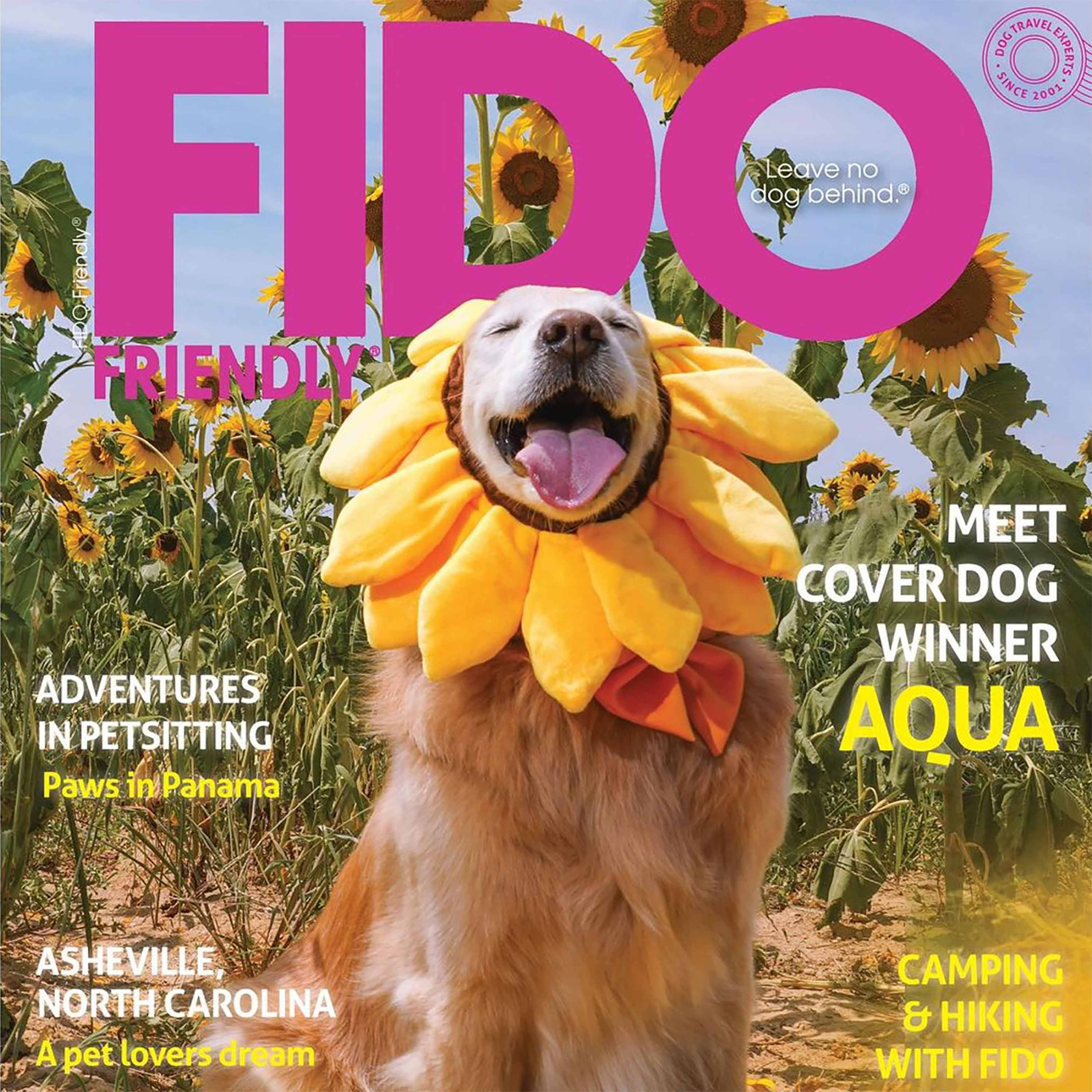 Fido Friendly Travel Talk