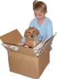 Dog in moving box