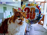 30 year old cat celebrates birthday on Animal Radio