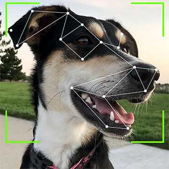 Facial Recognition Facial Recognition