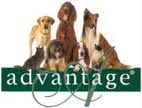 Advantage logo.667