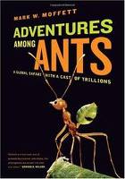 Adventures Among Angts book cover