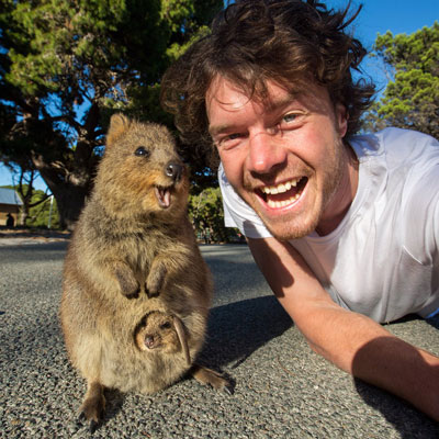 Allan Dixon tells Animal Radio listeners how he makes a living taking selfies with animals.