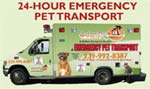 Pet Ambulance