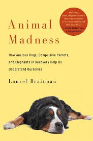 Animal Madness book cover