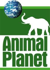 Animal Planet Logo.647